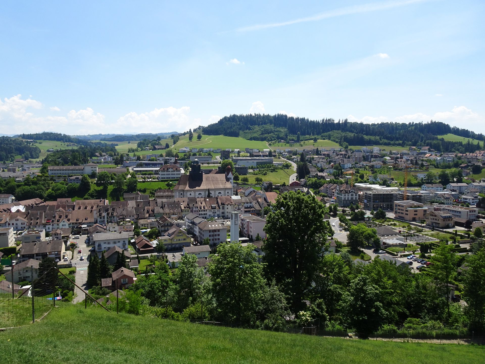 Willisau
